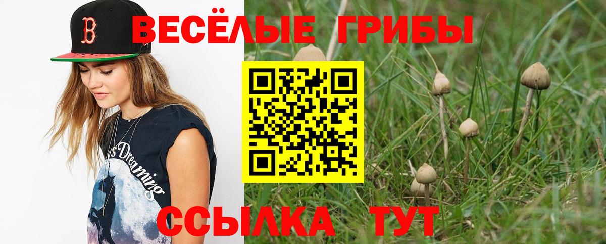 Псилоцибиновые грибы прущие грибы Саров