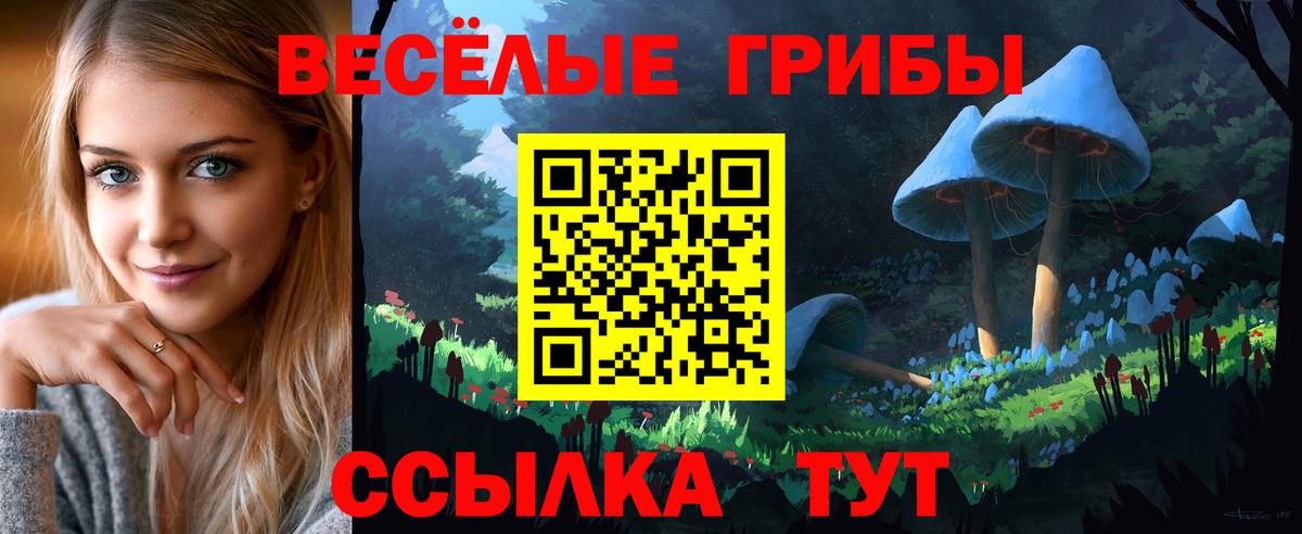 Саров  Галлюциногенные грибы Psilocybe  Вход с VPN 